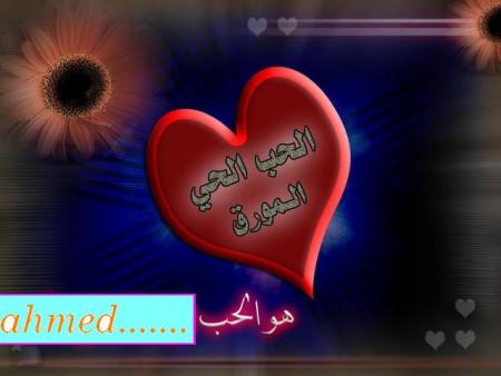 ahmed+najah=love